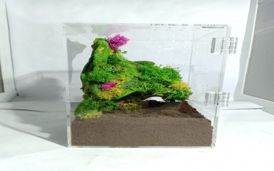 Kandang Tarantula Dekorasi Arboreal 15 x 15 x 25